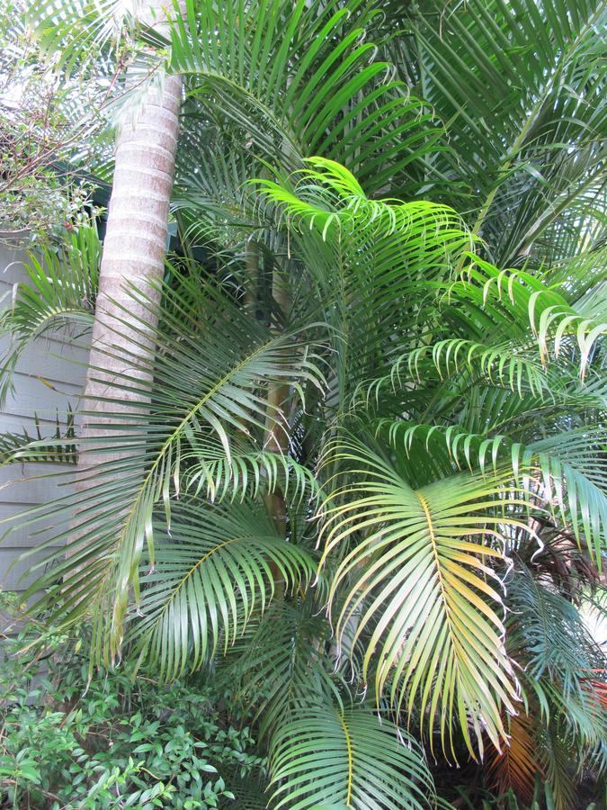 Melaleuca Caravan Park Port Macquarie Luaran gambar